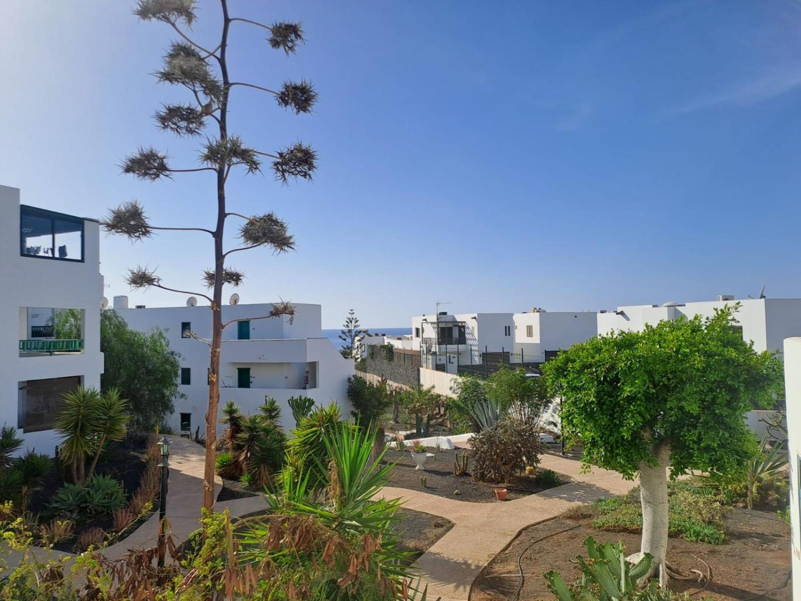 Azul Tuscan Playa Y Piscina Costa Teguise Buitenkant foto