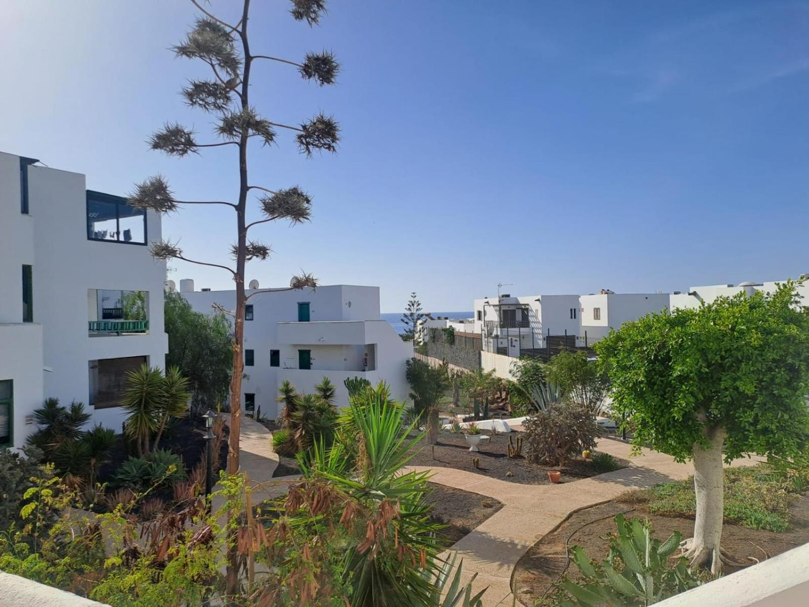 Azul Tuscan Playa Y Piscina Costa Teguise Buitenkant foto